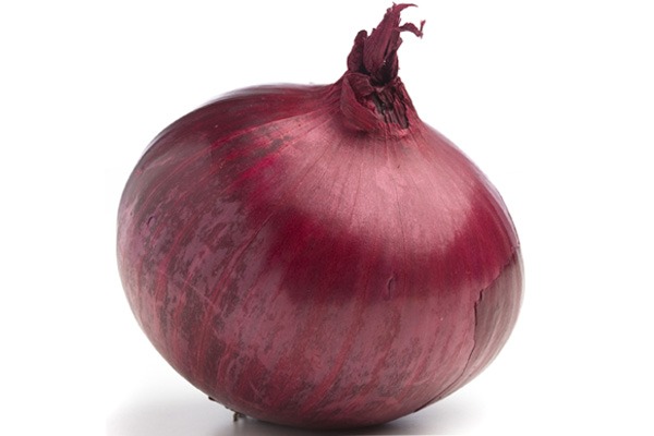 onion dark web list