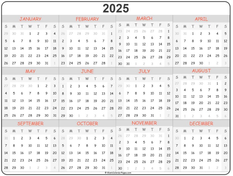 2025 darknet market