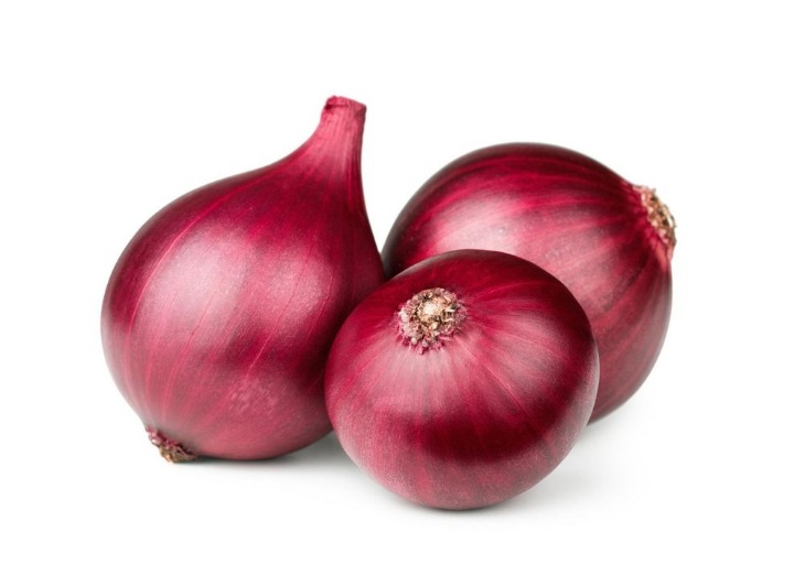 onion links for deep web