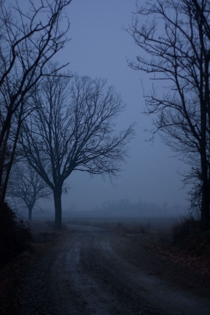 dark web search engine 2023