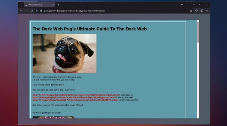 access the dark web