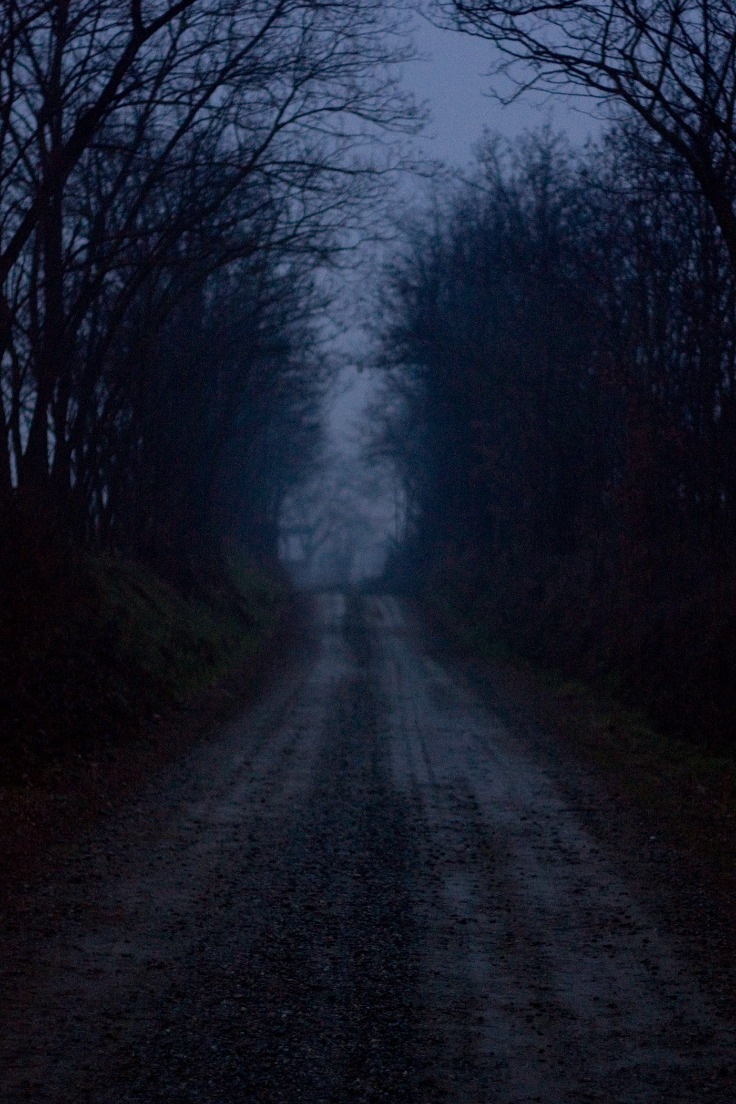 dark web markets reddit