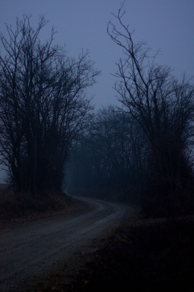 dark markets ireland