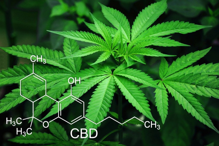 weed only darknet market