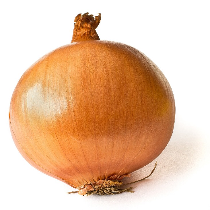 onion link