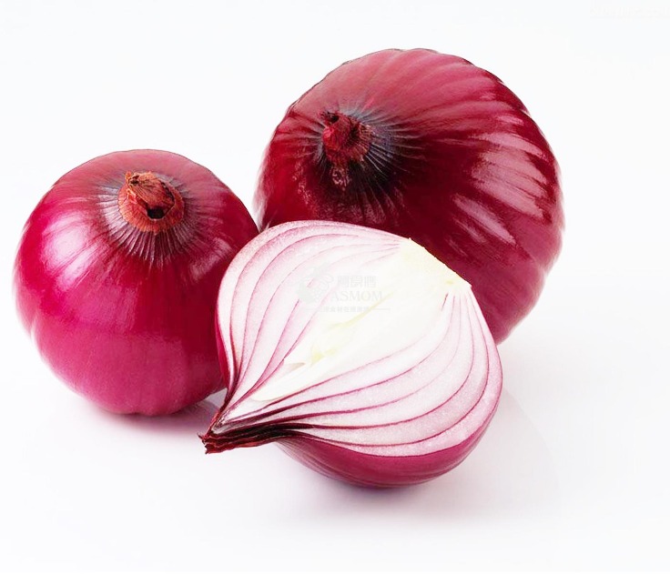 onion deep web search