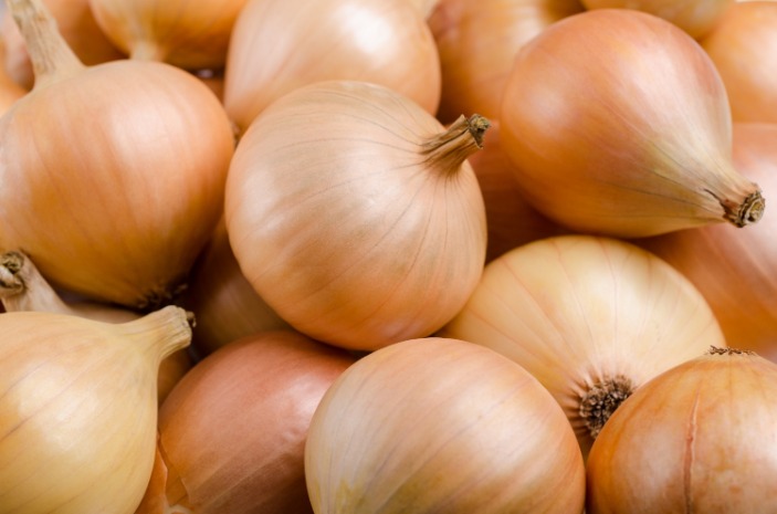 onion deep web search