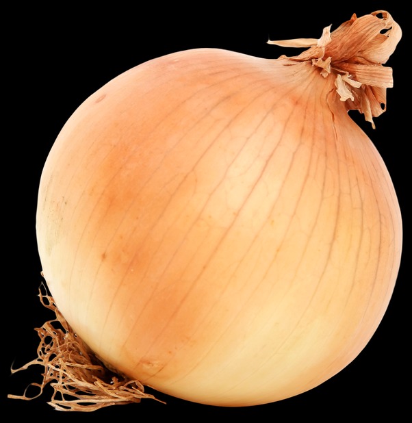 the onion directory