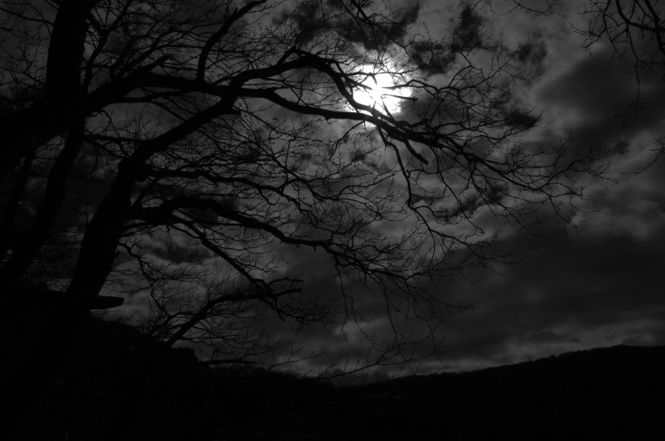 dark web markets 2023 australia