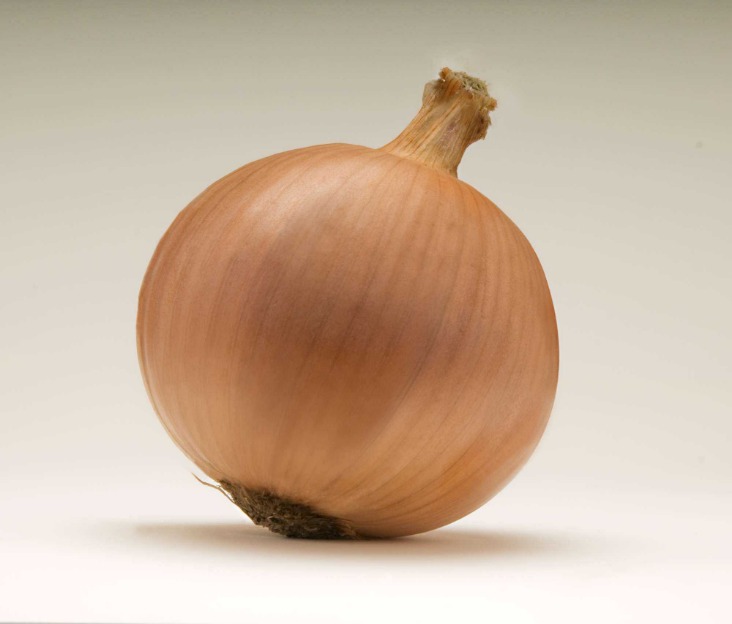 onion dark web