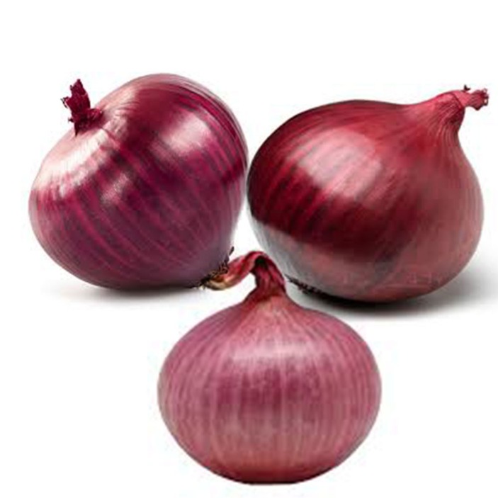 onion dark web