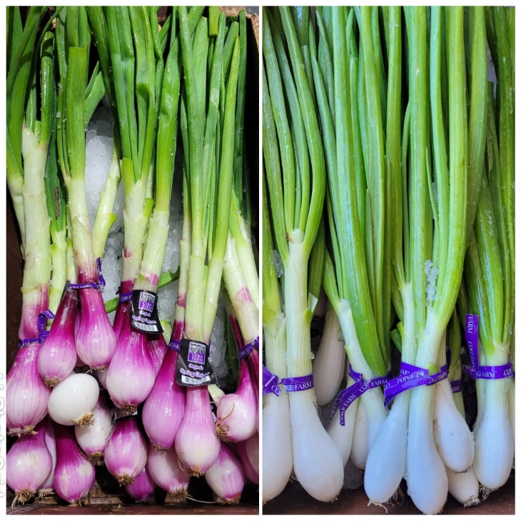 onion dark web