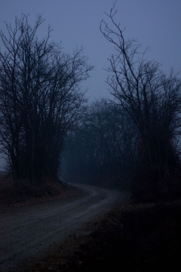 dark web links market