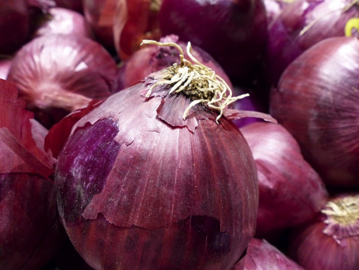 onion link search engine