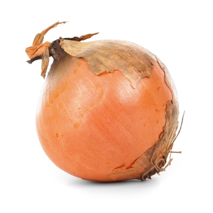 onion directory list