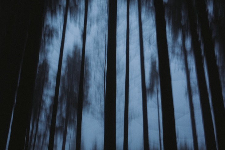 dark net market links 2023