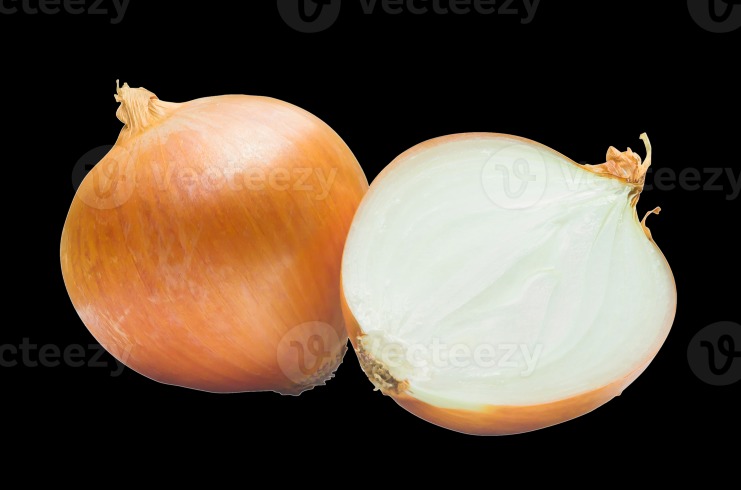 onion links sites