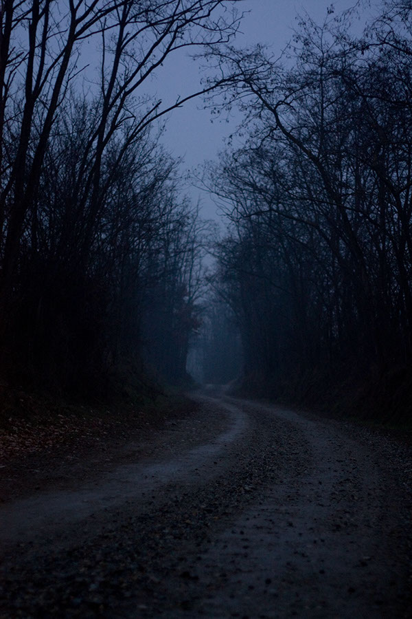 dark markets denmark