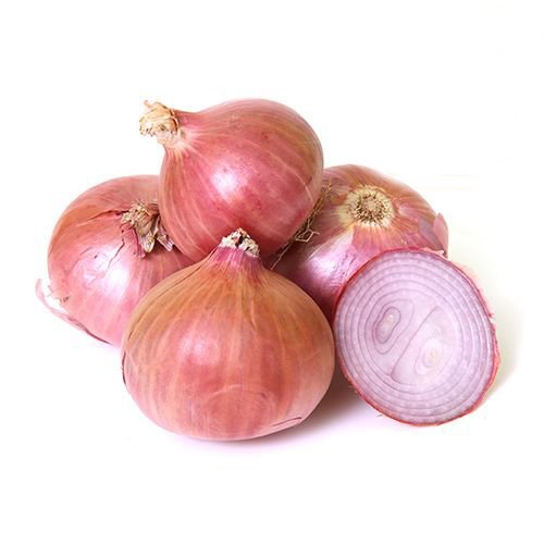 onion deep web search