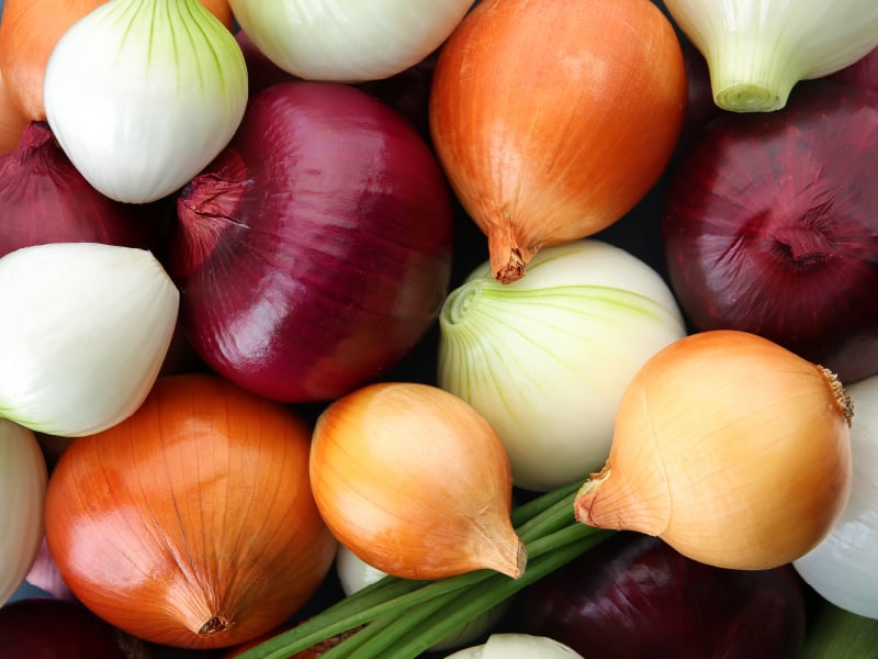 onion directory
