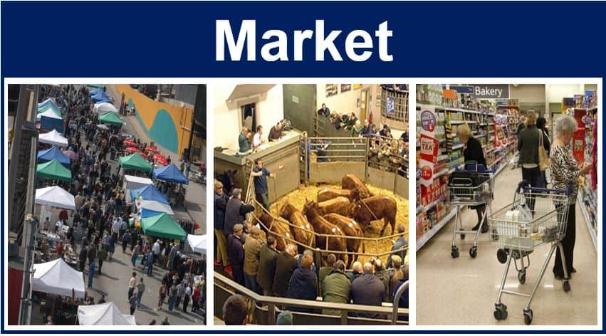 market cypher