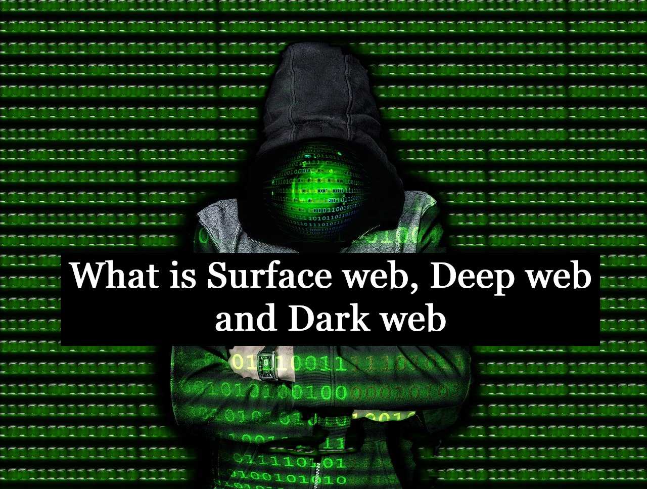 dark web social security number