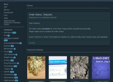 tor search onion link