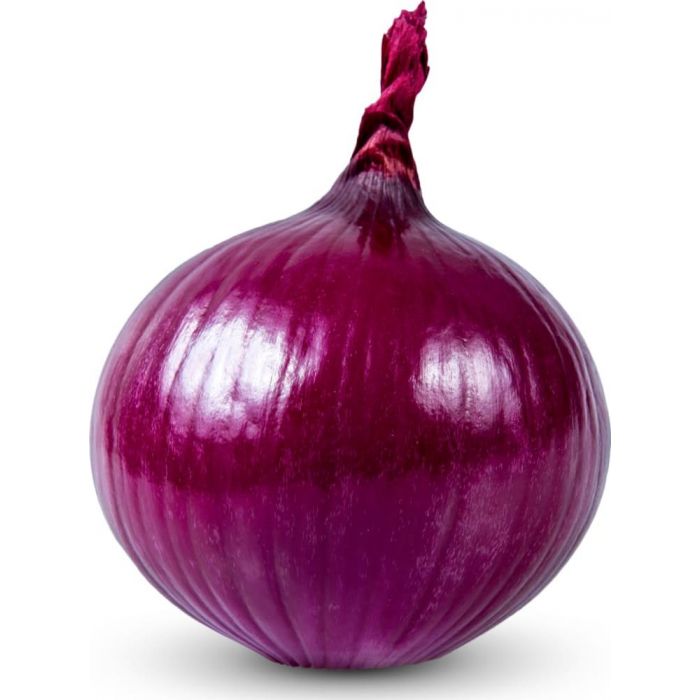 onion dark web list