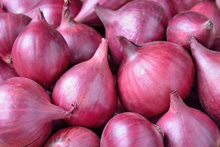 onion links 2025