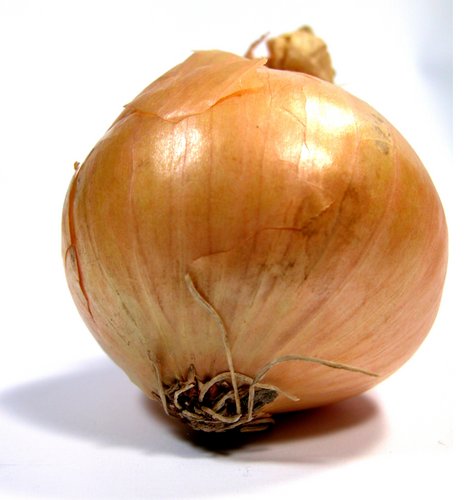 onion link